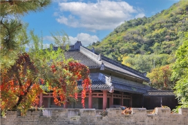 园区景色